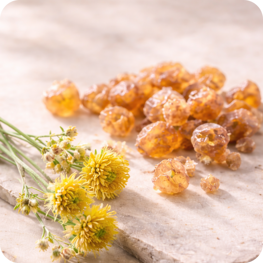 Lunere®  Night Balm